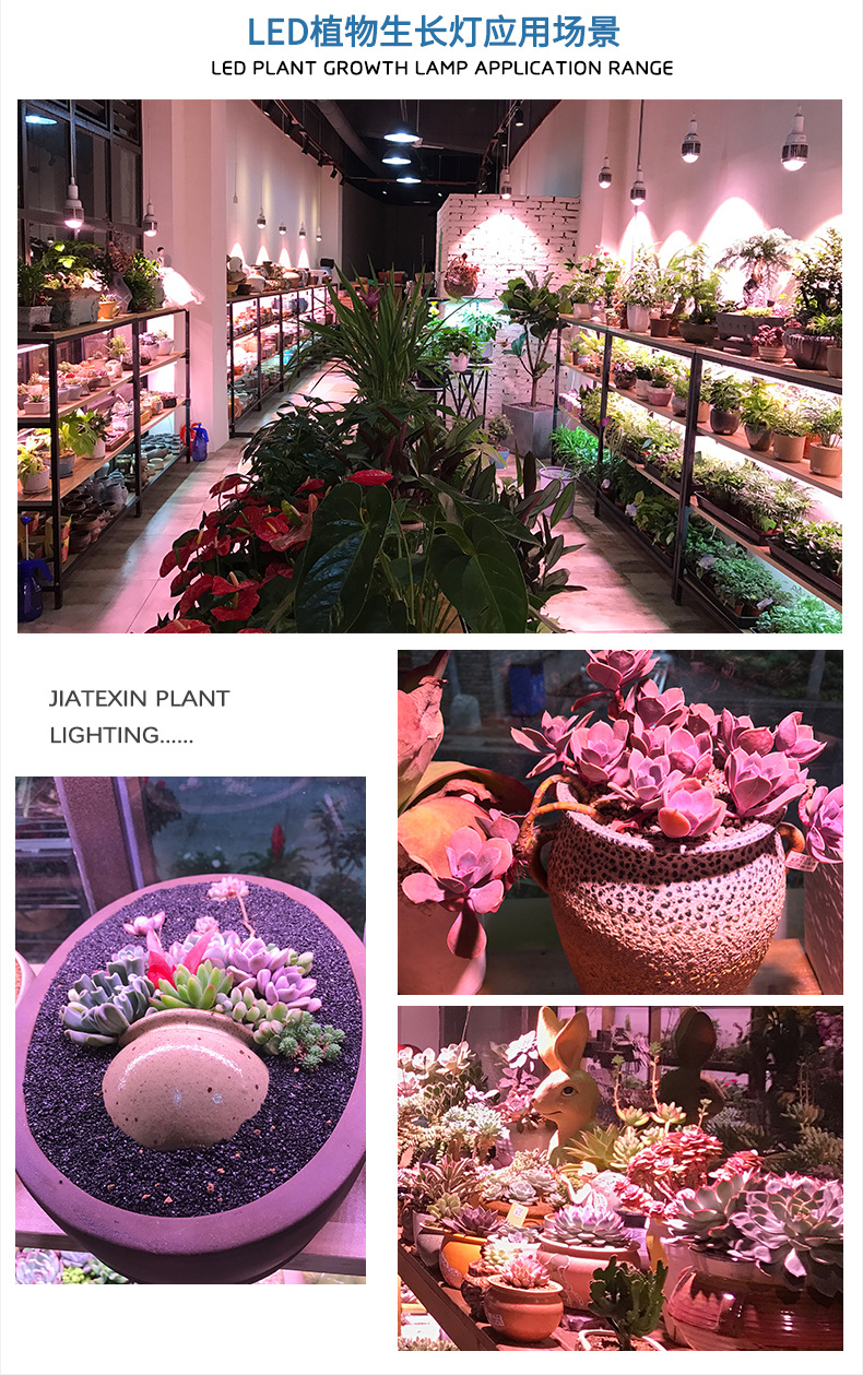 1646903611211551.jpg 21718454743_1569344574.jpg